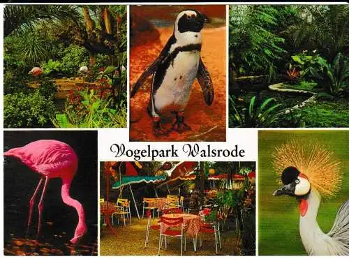 Walsrode - Vogelpark - 6 Ansichten - von 1962 (AK6762)