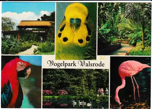 Walsrode - Vogelpark - 6 Ansichten - von 1962 (AK6763)