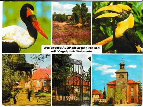 Walsrode / Lüneburger Heide - mit Vogelpark Walsrode - 6 Ansichten - von 1962 (AK6765)