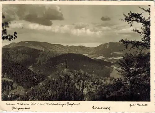 AK Görbersdorf Sokolowsko Blitzengrund 1940 gelaufen mit Marke