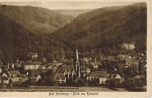 AK Bad Harzburg, Radautal, 1925 gelaufen 