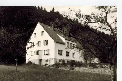 AK Horn-Bad Meinberg, Holzhausen, Extersteine, Pension Tanneneck, 1974 gelaufen mit Marke