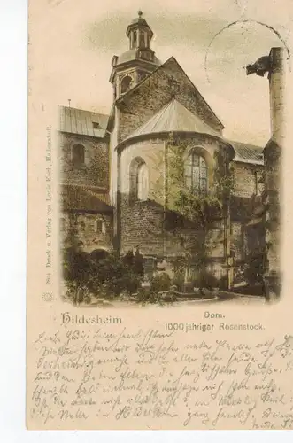 AK Hildesheim, Rosenstrauch, 1000jährig, Dom, 1899 gelaufen mit Marke