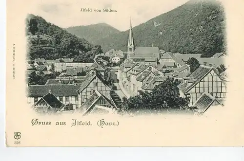AK Ilfeld, Harztor, Nordhausen, Ansicht, 1903 ungelaufen