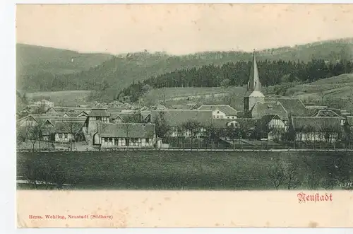 AK Neustadt, Harz, Hohnstein, Südharz, Nordhausen, Ansicht, ca. 1910er Jahre, ungelaufen