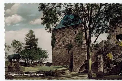AK Nideggen, Eifel, Burghof, Bergfried, handcoloriert, 1950er Jahre, ungelaufen