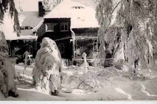 AK Cunewalde, Oberlausitz, Czorneboh, Berggaststätte, Winter, 1964 gelaufen mit Marke