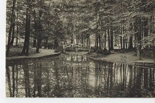 AK Kiel, Düsternbrook, Am Dianenspiegel, 1915 gelaufen ohne Marke, Feldpost 