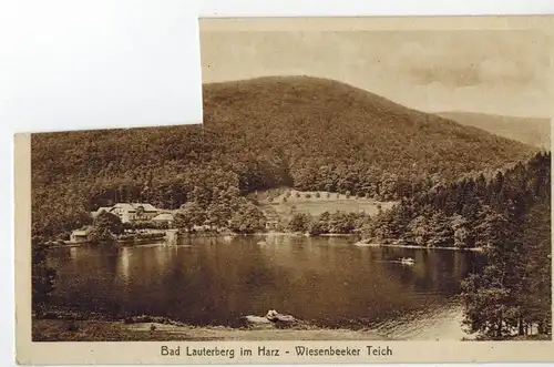 AK Bad Lauterberg im Harz, Wiesenbeker Teich, beschädigt, 1910er Jahre gelaufen ohne Marke 
