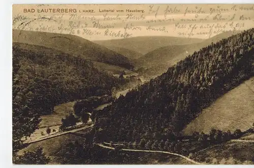 AK Bad Lauterberg im Harz, Luttertal vom Hausberg, 1908 gelaufen mit Marke 