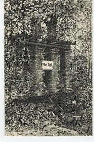 AK Bad Lausick, Albert-Quelle, Kurpark, 1912 gelaufen mit Marke 