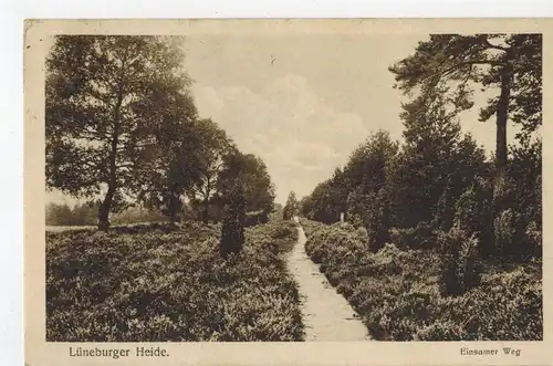 AK Lüneburger Heide, Buchholz, Nordheide, Einsamer Weg, 1919 gelaufen ohne Marke