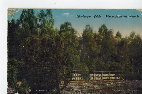 AK Lüneburger Heide, Bispingen, Wilsede, Bienenstand, color, 1918 gelaufen ohne Marke, Feldpost