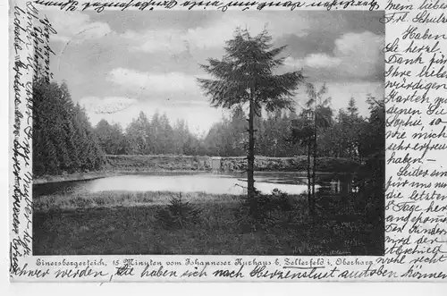 AK Clausthal-Zellerfeld, Zellerfeld, Oberharz, Einersberger Teich, 15 Minuten von Johanneser Kurhaus, 1904 gelaufen mit Marke 
