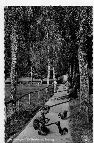 AK Bad Wörishofen, Eichhörnchen, Birkenweg, Fotopostkarte, Kneippbad, 1963 gelaufen mit Marke 