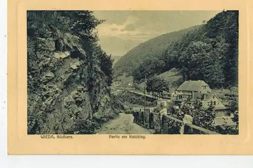 AK Walkenried, Wieda, Südharz, Harz, Knicking, 1910 gelaufen mit Marke 