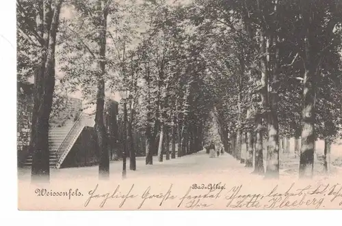 AK Weißenfels, Bad-Allee, 1913 gelaufen mit Marke