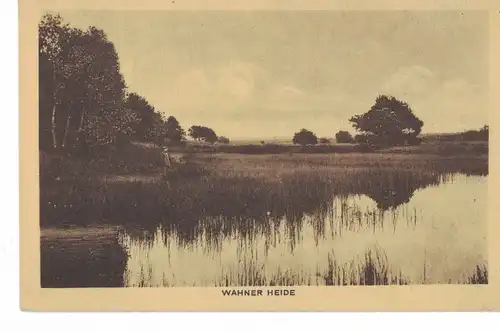 AK Köln, Wahn, Wahner Heide, Schießplatz, Naturschutzgebiet, 1918 gelaufen ohne Marke, Feldpost 