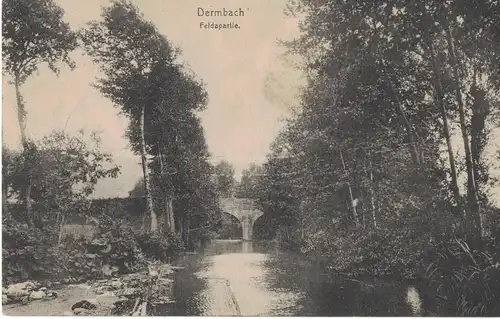 AK Dermbach, Wartburgkreis, Feldpartie, 1920 gelaufen ohne Marke