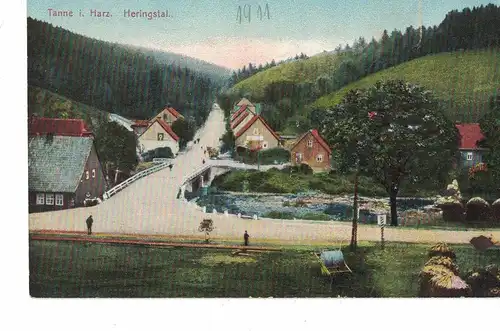 [Hand-Kolloriert] AK Oberharz am Brocken, Tanne, Harz, Heringstal,  1911, beschriftet, ungelaufen. 