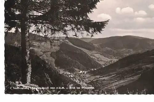 [Echtfotokarte schwarz/weiß] AK Todtnau, Todtnauberg, Schwarzwald, Blick ins Wiesental, 1021 m üN., 1962, beschriftet, gelaufen mit Marke. 