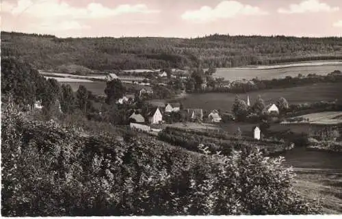 [Echtfotokarte schwarz/weiß] AK Rinsecke, Sauerland, Kirchundem, Sommerfrische, beschriftet, 1960 gelaufen mit Marke. 