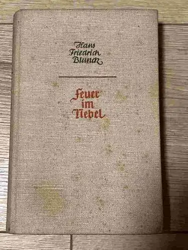 Hans Friedrich Blunck: Feuer im Nebel. 