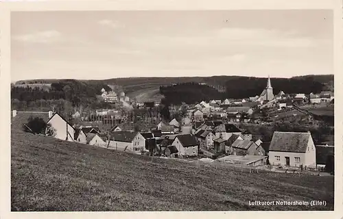 alte orig. AK Nettersheim Eifel Häuser am Stadtrand ca 50er 60er J.