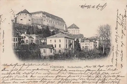 alte orig. AK Tübingen Neckarhalde Häuser 1902 Vorkrieg