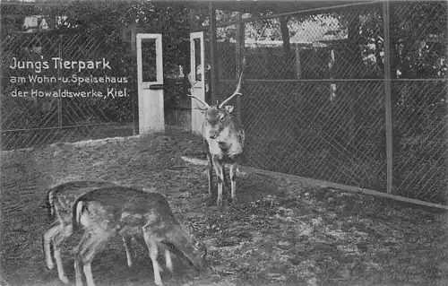 alte orig. AK Kiel Jungs Tierpark Speisehaus der Howaldtswerke 1912 Vorkrieg