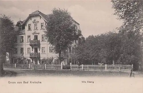 alte orig. AK Bad Kreischa Villa Eissrig Vorkrieg