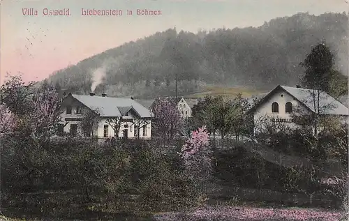 alte orig. AK Liebenstein Böhmen Eger Sudeten Villa Oswald Felsenkeller 1911 Vorkrieg