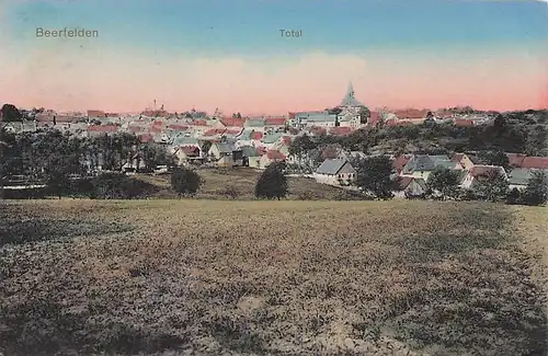 alte orig. AK Beerfelden Oberzent Erbach Häuser am Stadtrand 1912 Vorkrieg