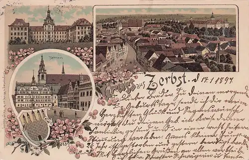 alte orig. AK Zerbst Anhalt b Bitterfeld frühe Litho Häuser Schloss Marktplatz Blumenranken 1897 Vorkrieg