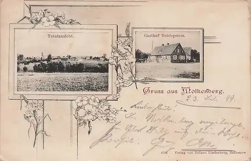 alte orig. AK Molkenberg b Rathenow Schollene Schönhausen a. Elbe Gasthof Heidepriem Blumenranken 1899 Vorkrieg