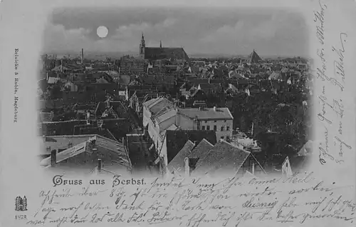 alte orig. AK Zerbst Anhalt b Bitterfeld Mondschein Häuser Dachpanorama 1901 Vorkrieg