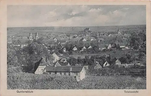 alte orig. AK Guntersblum b Gimbsheim Alsheim Biebesheim Häuser Ortsrand 1919 Vorkrieg