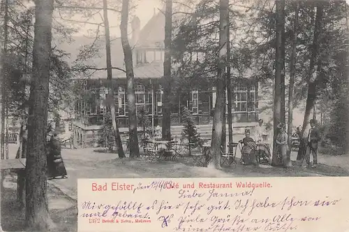 alte orig. AK Bad Elster b Markneukirchen Sachsen Restaurant Waldquelle 1903 Vorkrieg