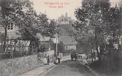 alte orig. AK Wernigerode a. Harz Häuser Grosser Bleek Vorkrieg