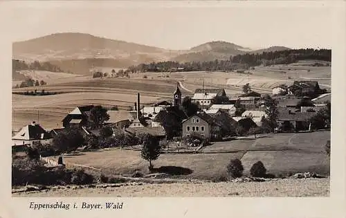 alte orig. AK Eppenschlag b Innernzell Spiegelau Häuser Ortsrand Vorkrieg