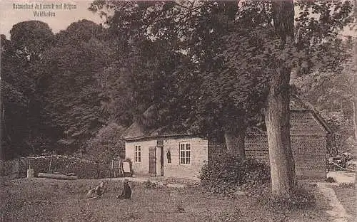 alte orig. AK Juliusruh b Ostseebad Breege Rügen Kinder vor Waldkaten Vorkrieg