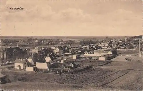 alte orig. AK Czarnikau i. Posen Czarnków Scharnikau Schneidemühl Pila Häuser am Stadtrand 1915 Vorkrieg