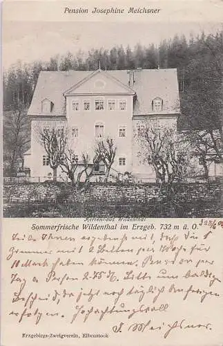 alte orig. AK Wildenthal Erzgebirge b Eibenstock Schwarzenberg Muldenhammer Herrenhaus Nahaufnahme Pension Josephine Meichsner 1903 Vorkrieg