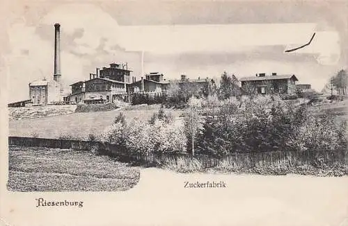 alte orig. AK Riesenburg Prabuty Danzig Westpreussen Stargard Marienwerder Rosenberg Zuckerfabrik ca. 1905 Vorkrieg