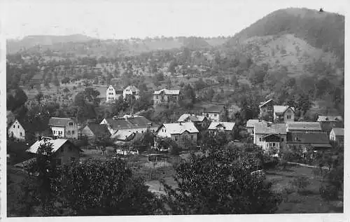 alte orig. AK Großpriesen Gross Priesen a. Elbe Velké Březno b Tetschen Böhmen Sudeten Häuser 1939 Vorkrieg