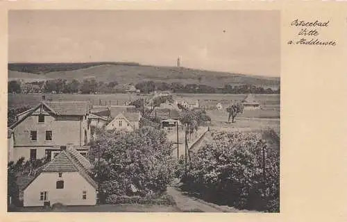 alte orig. AK Vitte Hiddensee Ostseebad Häuser Vorkrieg