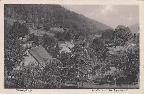 alte orig. AK Agnetendorf Jagniątków b Hirschberg Jelenia Góra Schlesien Schneegrube Riesengebirge Häuser in Niederagnetendorf Vorkrieg