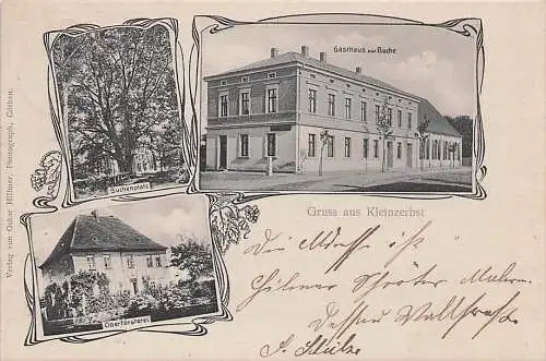 alte orig. AK Kleinzerbst b Aken Bitterfeld Köthen Anhalt Reppichau Dessau Gasthaus zur Buche Buchenplatz Försterei 1904 Vorkrieg