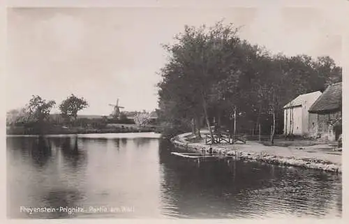 alte orig. AK Freyenstein Prignitz b Wittstock Dosse Windmühle Partie am Wall Vorkrieg