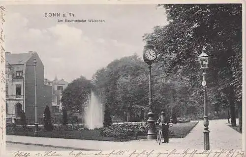 alte orig. AK Bonn a. Rhein Am Baumschuler Wäldchen 1908